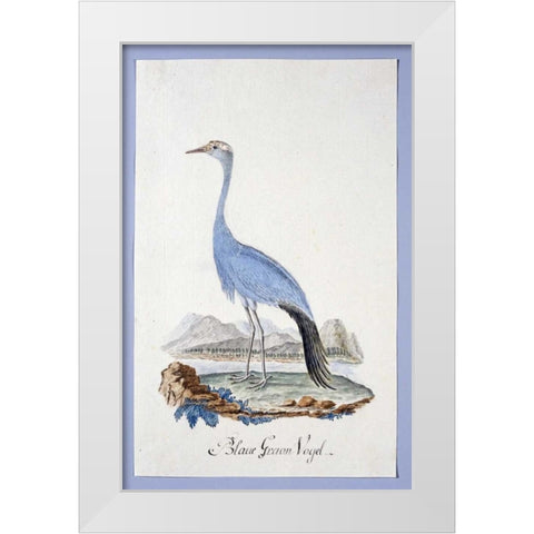 Blue Bird White Modern Wood Framed Art Print by Gordon, Robert J.