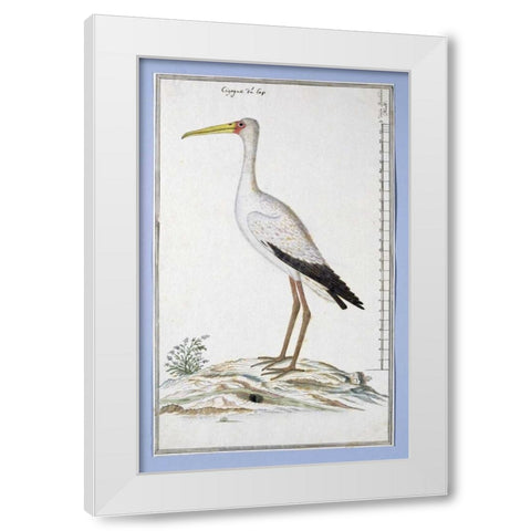 Stork White Modern Wood Framed Art Print by Gordon, Robert J.