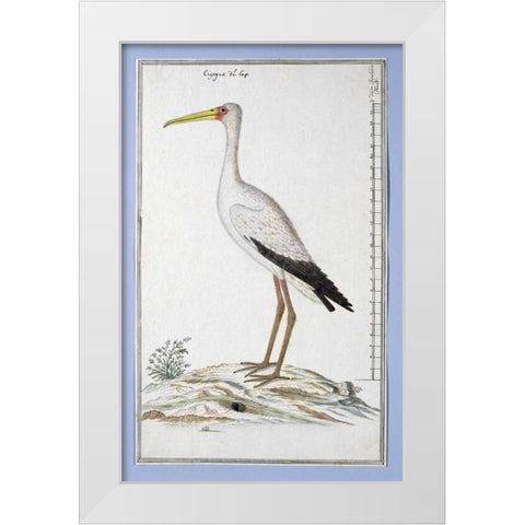 Stork White Modern Wood Framed Art Print by Gordon, Robert J.