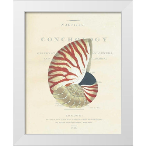 Shell, Nautiilus White Modern Wood Framed Art Print by Brookes, Samuel