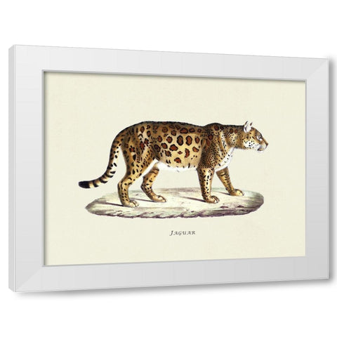 Jaguar White Modern Wood Framed Art Print by Schinz, Heinrich Rudolf