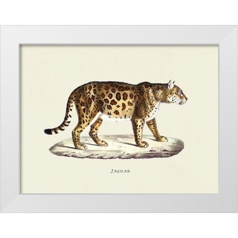 Jaguar White Modern Wood Framed Art Print by Schinz, Heinrich Rudolf