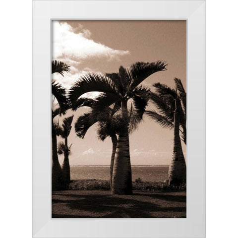 Date Palm, Mauritius White Modern Wood Framed Art Print by Blue, Cyril