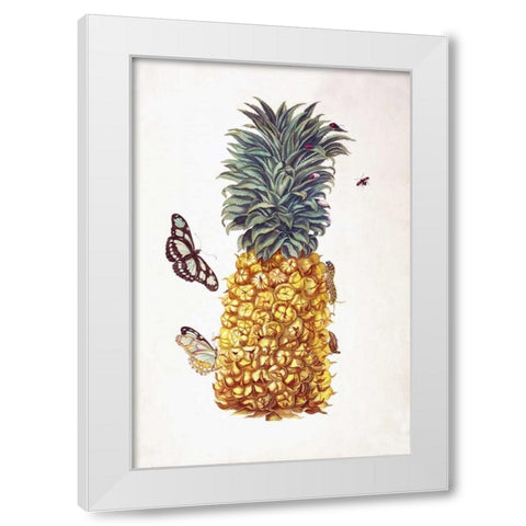 Pineapple, Butterflies, plate 11 White Modern Wood Framed Art Print by Merian, Sybilla