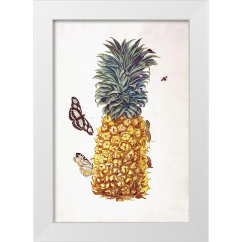 Pineapple, Butterflies, plate 11 White Modern Wood Framed Art Print by Merian, Sybilla