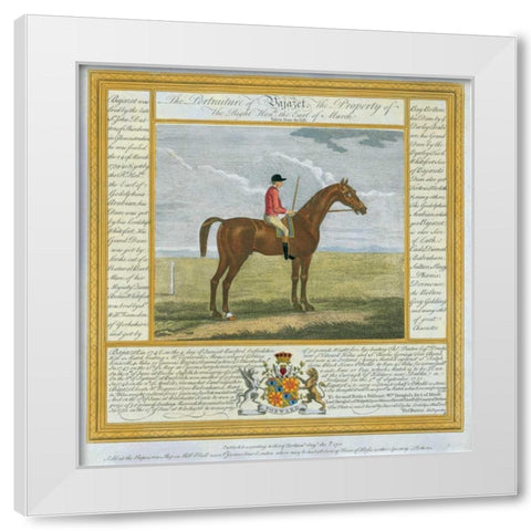 Portrait and Pedigree, Bajazet White Modern Wood Framed Art Print by Spencer, Thomas