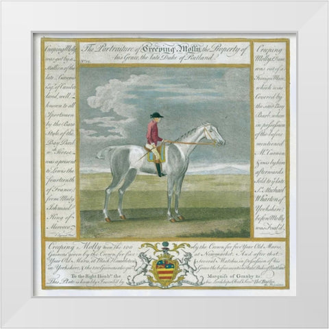 Portrait and Pedigree, Creeping Molly White Modern Wood Framed Art Print by Spencer, Thomas