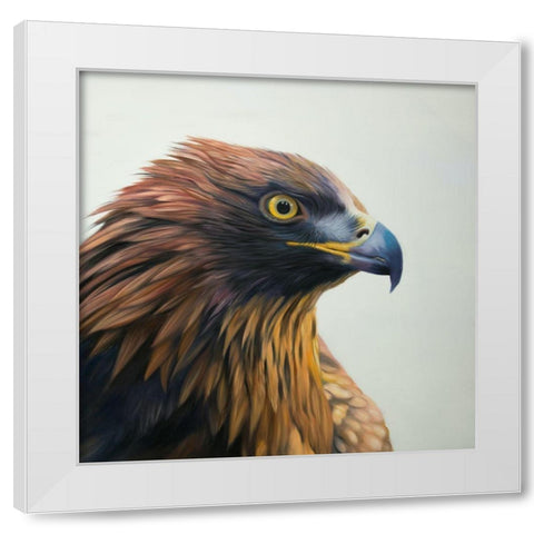 BROWN-HEADED EAGLE White Modern Wood Framed Art Print by Atelier B Art Studio