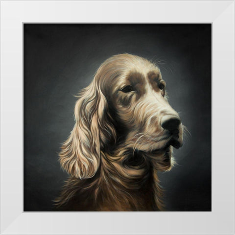 FIELD SPANIEL White Modern Wood Framed Art Print by Atelier B Art Studio