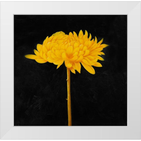 YELLOW FLOWER IN THE DARK White Modern Wood Framed Art Print by Atelier B Art Studio