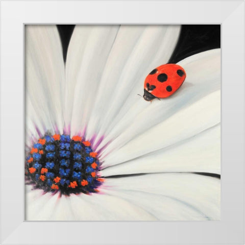 White Daisy and Ladybug White Modern Wood Framed Art Print by Atelier B Art Studio