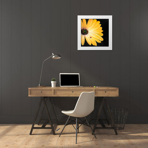 Yellow Daisy and Ladybug White Modern Wood Framed Art Print by Atelier B Art Studio