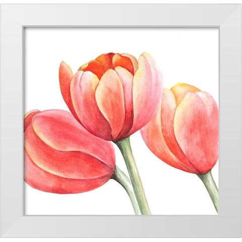 THREE TULIPS CLOSEUP White Modern Wood Framed Art Print by Atelier B Art Studio