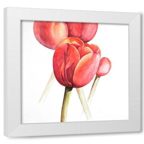 BLOSSOMING TULIPS CLOSEUP White Modern Wood Framed Art Print by Atelier B Art Studio