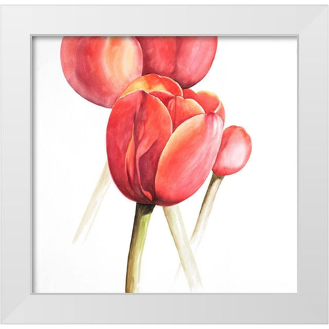BLOSSOMING TULIPS CLOSEUP White Modern Wood Framed Art Print by Atelier B Art Studio