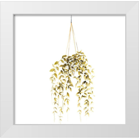 HANGING PLANT White Modern Wood Framed Art Print by Atelier B Art Studio