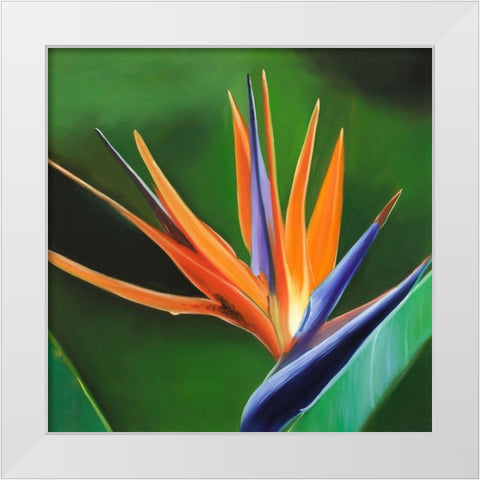 BIRD OF PARADISE FLOWER  White Modern Wood Framed Art Print by Atelier B Art Studio