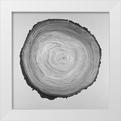 Grayscale Round Shaped Tree Slab White Modern Wood Framed Art Print by Atelier B Art Studio
