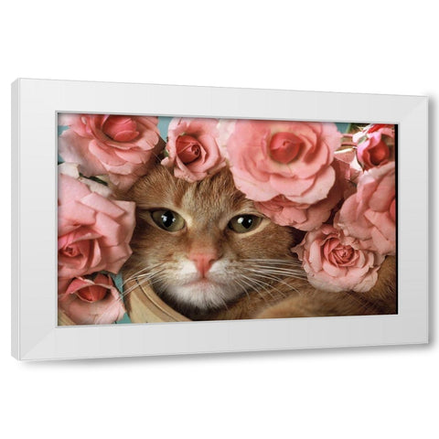 Here I am White Modern Wood Framed Art Print by Hoenderkamp, Patrick