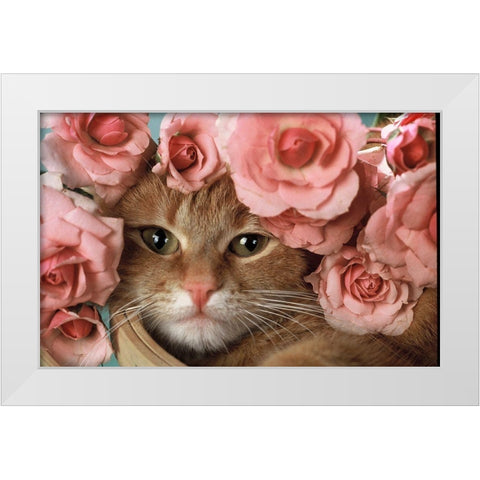 Here I am White Modern Wood Framed Art Print by Hoenderkamp, Patrick