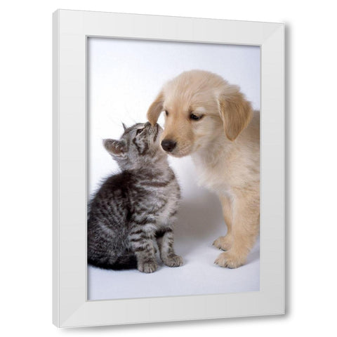 True love White Modern Wood Framed Art Print by Hoenderkamp, Patrick