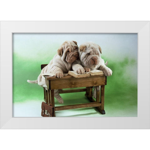 University dogs White Modern Wood Framed Art Print by Hoenderkamp, Patrick