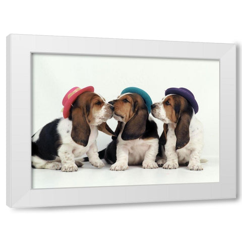 Party dogs White Modern Wood Framed Art Print by Hoenderkamp, Patrick
