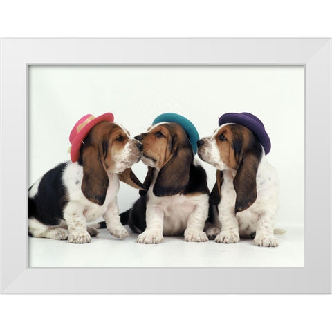Party dogs White Modern Wood Framed Art Print by Hoenderkamp, Patrick