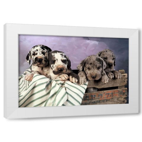 We are family White Modern Wood Framed Art Print by Hoenderkamp, Patrick