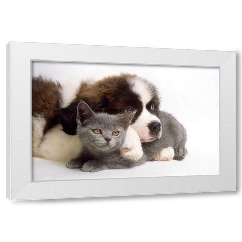 real love White Modern Wood Framed Art Print by Hoenderkamp, Patrick