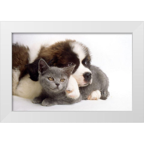 real love White Modern Wood Framed Art Print by Hoenderkamp, Patrick