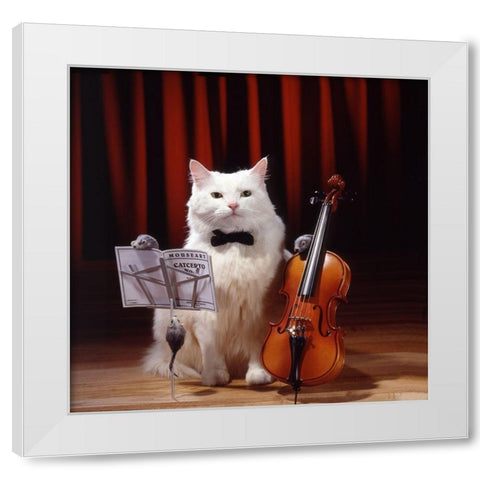 Violin cat White Modern Wood Framed Art Print by Hoenderkamp, Patrick