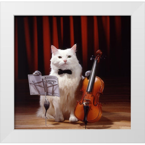 Violin cat White Modern Wood Framed Art Print by Hoenderkamp, Patrick