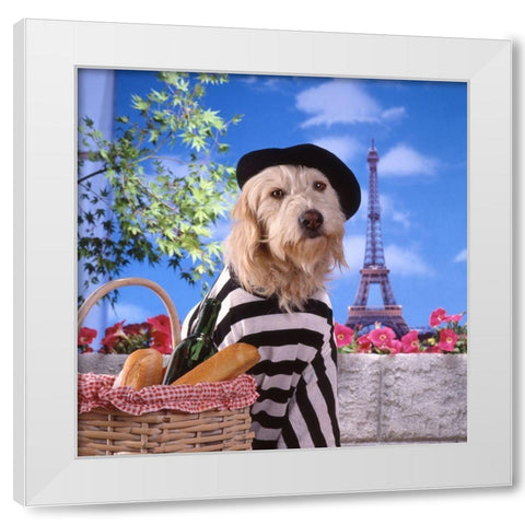 Visit to Paris White Modern Wood Framed Art Print by Hoenderkamp, Patrick