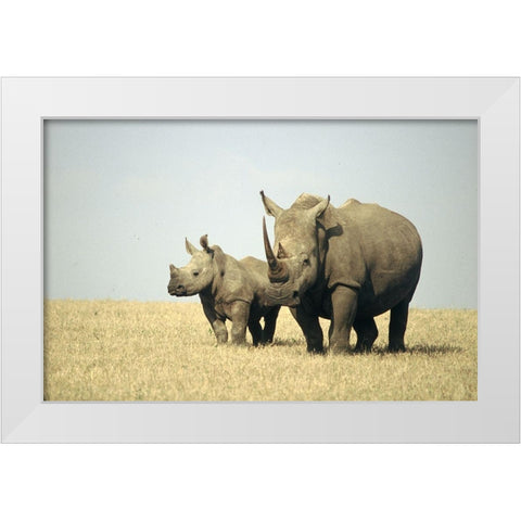 Rhino family White Modern Wood Framed Art Print by Hoenderkamp, Patrick