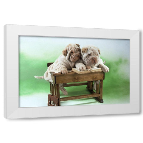 clever dogs White Modern Wood Framed Art Print by Hoenderkamp, Patrick