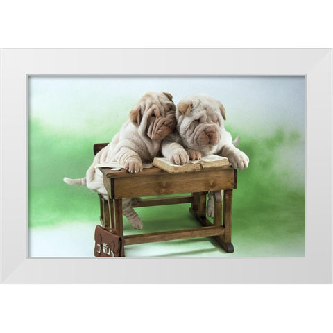 clever dogs White Modern Wood Framed Art Print by Hoenderkamp, Patrick