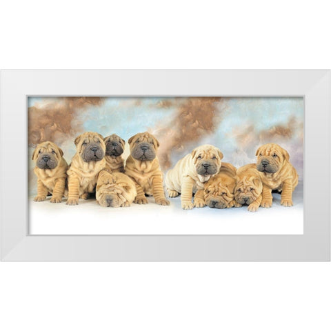 Puppies White Modern Wood Framed Art Print by Hoenderkamp, Patrick