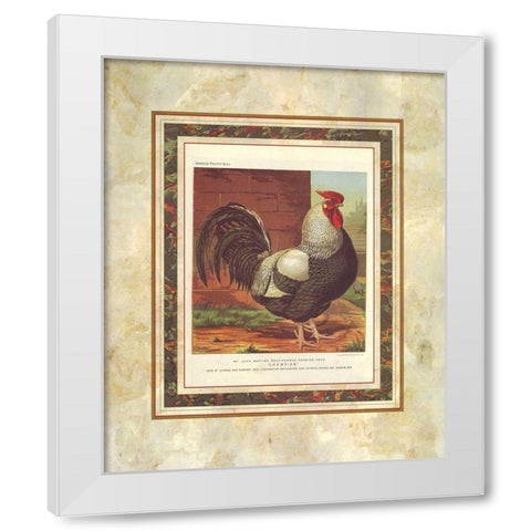 Rose-Combed Dorking Cock, Cassells Poultry Book White Modern Wood Framed Art Print by Ludlow, J.W.