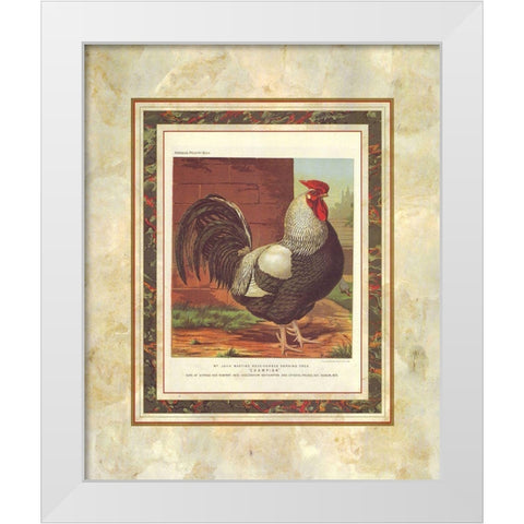 Rose-Combed Dorking Cock, Cassells Poultry Book White Modern Wood Framed Art Print by Ludlow, J.W.