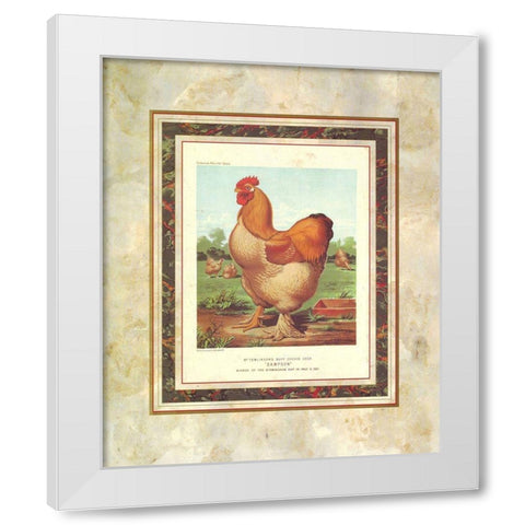 Buff. Cochin Cock, Cassells Poultry Book White Modern Wood Framed Art Print by Ludlow, J.W.