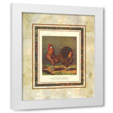 Golden Pencilled Hamburghs, Cassells Poultry Book White Modern Wood Framed Art Print by Ludlow, J.W.