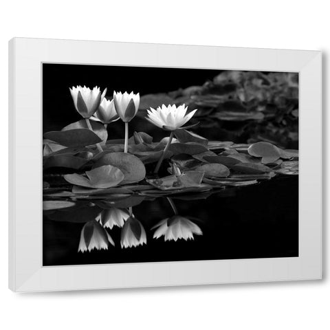 Reflections on Water White Modern Wood Framed Art Print by Frates, Dennis