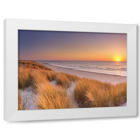 Flowing Copper Beach Grass White Modern Wood Framed Art Print by Winter