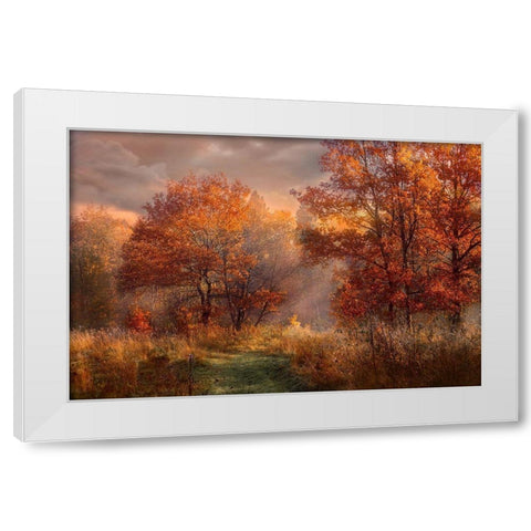 Red Oaks in the Mist White Modern Wood Framed Art Print by Anonymous