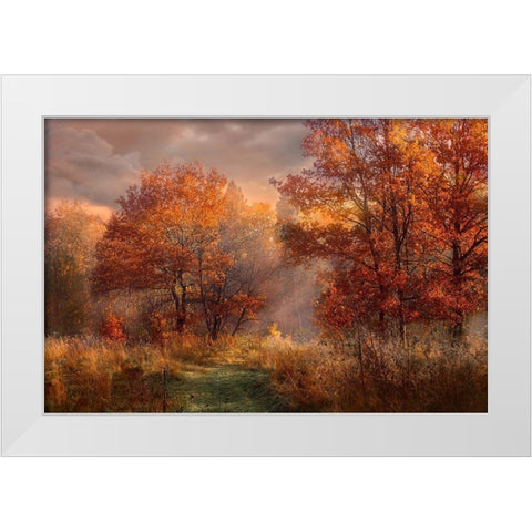 Red Oaks in the Mist White Modern Wood Framed Art Print by Anonymous