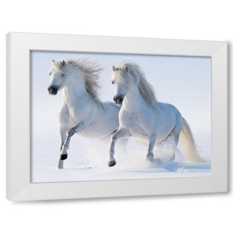 Snow Gallop White Modern Wood Framed Art Print by Abramova,  K