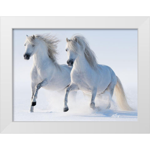 Snow Gallop White Modern Wood Framed Art Print by Abramova,  K