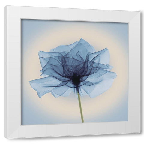 Layered Veil, Blue White Modern Wood Framed Art Print by Anonymous