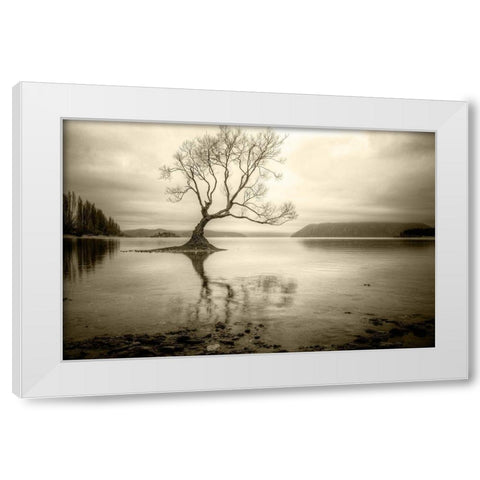 Lone Tree in a Lake White Modern Wood Framed Art Print by Rushton, Ian